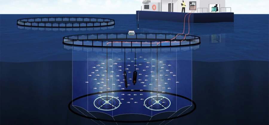 Fish Farm image